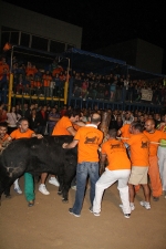 toros