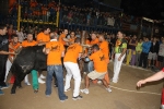 toros