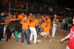 toros