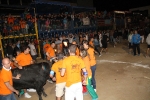 toros