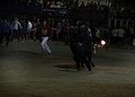 toros