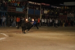 toros