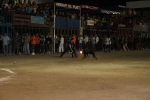 toros