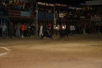 toros