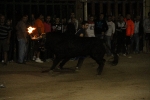 toros