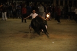 toros