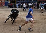 toros