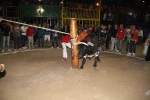 toros