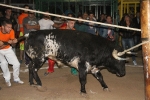 toros