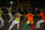 toros