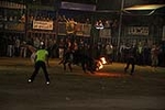 toros