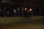 toros