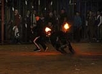 toros