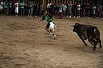 toros