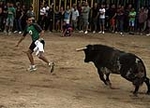 toros