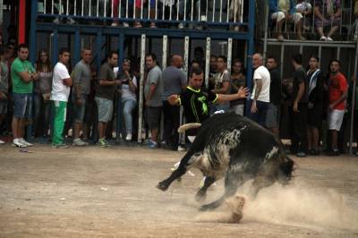 Fotografia /Galeria/2013/10/93581_49780/3_M1.jpg