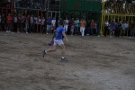 toros