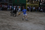 toros