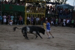 toros