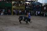 toros