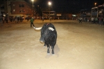 toros