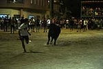 toros