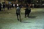 toros