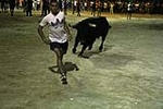 toros