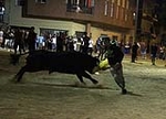 toros
