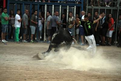 Fotografia /Galeria/2013/10/93581_49780/5_M1.jpg