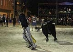 toros