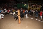 toros