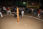 toros