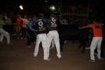toros