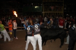 toros