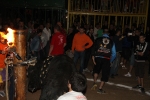 toros