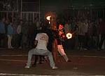 toros