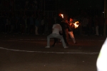toros