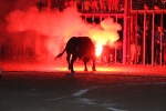 toros