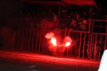 toros
