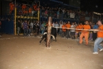toros