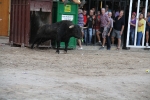 Fotografia /Galeria/2013/10/93624_49801/10_M1.jpg