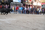 Toros por la tarde y cadereta para 1.200 vecinos por la noche