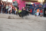 Toros por la tarde y cadereta para 1.200 vecinos por la noche