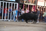 Toros por la tarde y cadereta para 1.200 vecinos por la noche