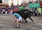 Fotografia /Galeria/2013/10/93624_49801/1_M1.jpg