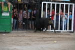 Toros por la tarde y cadereta para 1.200 vecinos por la noche