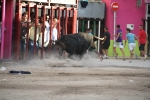 Toros por la tarde y cadereta para 1.200 vecinos por la noche