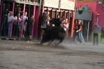 Toros por la tarde y cadereta para 1.200 vecinos por la noche
