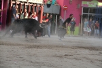 Toros por la tarde y cadereta para 1.200 vecinos por la noche